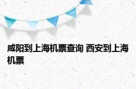 咸阳到上海机票查询 西安到上海机票 