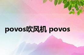 povos吹风机 povos 