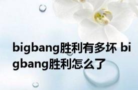 bigbang胜利有多坏 bigbang胜利怎么了 