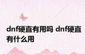 dnf硬直有用吗 dnf硬直有什么用 