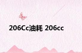 206Cc油耗 206cc 