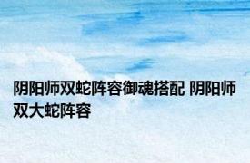 阴阳师双蛇阵容御魂搭配 阴阳师双大蛇阵容 