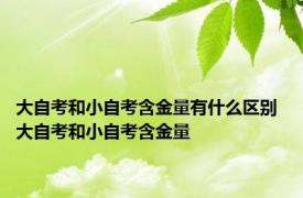 大自考和小自考含金量有什么区别 大自考和小自考含金量 