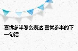 喜忧参半怎么表达 喜忧参半的下一句话 