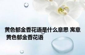 黄色郁金香花语是什么意思 寓意 黄色郁金香花语 