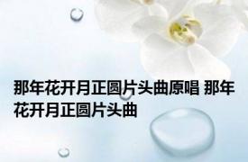 那年花开月正圆片头曲原唱 那年花开月正圆片头曲 