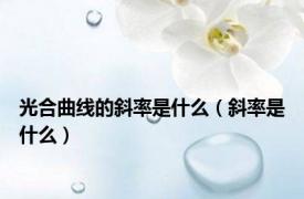 光合曲线的斜率是什么（斜率是什么）