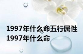 1997年什么命五行属性 1997年什么命 