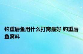 钓重唇鱼用什么打窝最好 钓重唇鱼窝料 