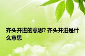 齐头并进的意思? 齐头并进是什么意思 