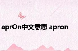 aprOn中文意思 apron 