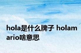 hola是什么牌子 holamario啥意思 