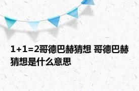 1+1=2哥德巴赫猜想 哥德巴赫猜想是什么意思 