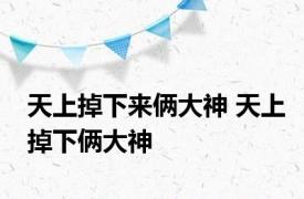 天上掉下来俩大神 天上掉下俩大神 