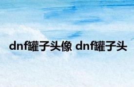 dnf罐子头像 dnf罐子头 