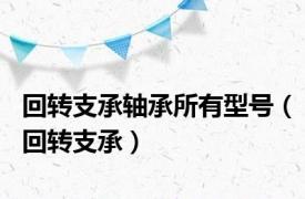 回转支承轴承所有型号（回转支承）