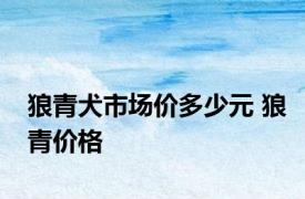 狼青犬市场价多少元 狼青价格 