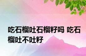 吃石榴吐石榴籽吗 吃石榴吐不吐籽 