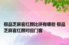 极品芝麻官红颜比拼有哪些 极品芝麻官红颜对应门客 