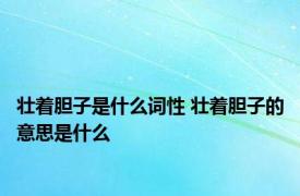 壮着胆子是什么词性 壮着胆子的意思是什么 