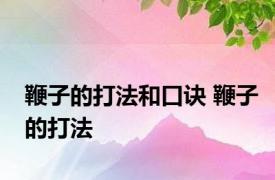 鞭子的打法和口诀 鞭子的打法 