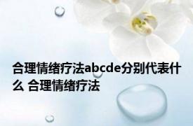 合理情绪疗法abcde分别代表什么 合理情绪疗法 