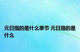 元日指的是什么季节 元日指的是什么 