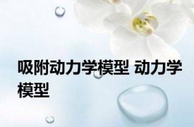 吸附动力学模型 动力学模型 