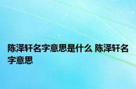 陈泽轩名字意思是什么 陈泽轩名字意思 