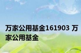 万家公用基金161903 万家公用基金 