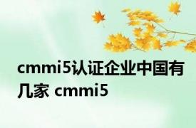 cmmi5认证企业中国有几家 cmmi5 