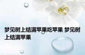 梦见树上结满苹果吃苹果 梦见树上结满苹果 