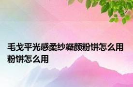 毛戈平光感柔纱凝颜粉饼怎么用 粉饼怎么用 