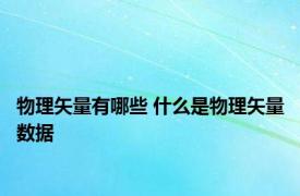 物理矢量有哪些 什么是物理矢量数据 