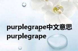 purplegrape中文意思 purplegrape 