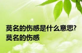 莫名的伤感是什么意思? 莫名的伤感 