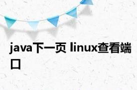 java下一页 linux查看端口 