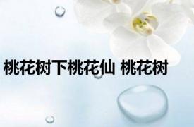 桃花树下桃花仙 桃花树 