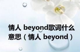 情人 beyond歌词什么意思（情人 beyond）