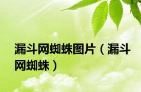 漏斗网蜘蛛图片（漏斗网蜘蛛）