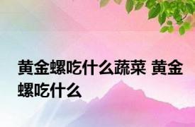 黄金螺吃什么蔬菜 黄金螺吃什么 