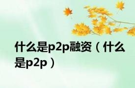 什么是p2p融资（什么是p2p）