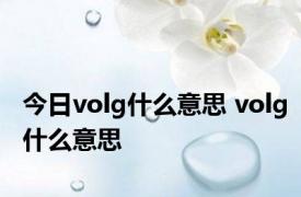 今日volg什么意思 volg什么意思 