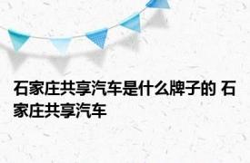 石家庄共享汽车是什么牌子的 石家庄共享汽车 