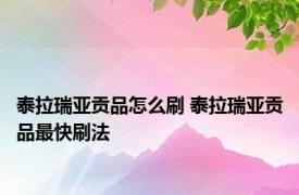 泰拉瑞亚贡品怎么刷 泰拉瑞亚贡品最快刷法 