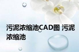 污泥浓缩池CAD图 污泥浓缩池 