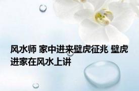 风水师 家中进来壁虎征兆 壁虎进家在风水上讲 