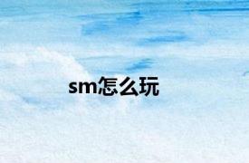 sm怎么玩