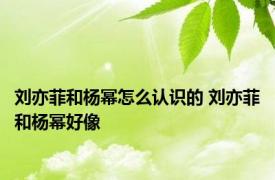 刘亦菲和杨幂怎么认识的 刘亦菲和杨幂好像 