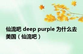 仙流吧 deep purple 为什么去美国（仙流吧）